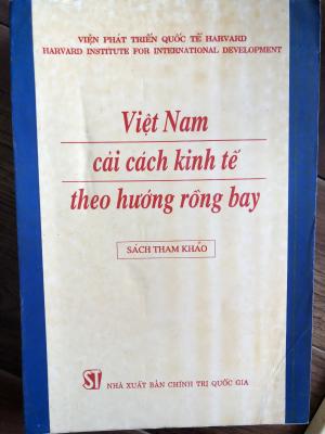 Việt Nam cải cách kinh tế theo hướng rồng bay: Sách tham khảo