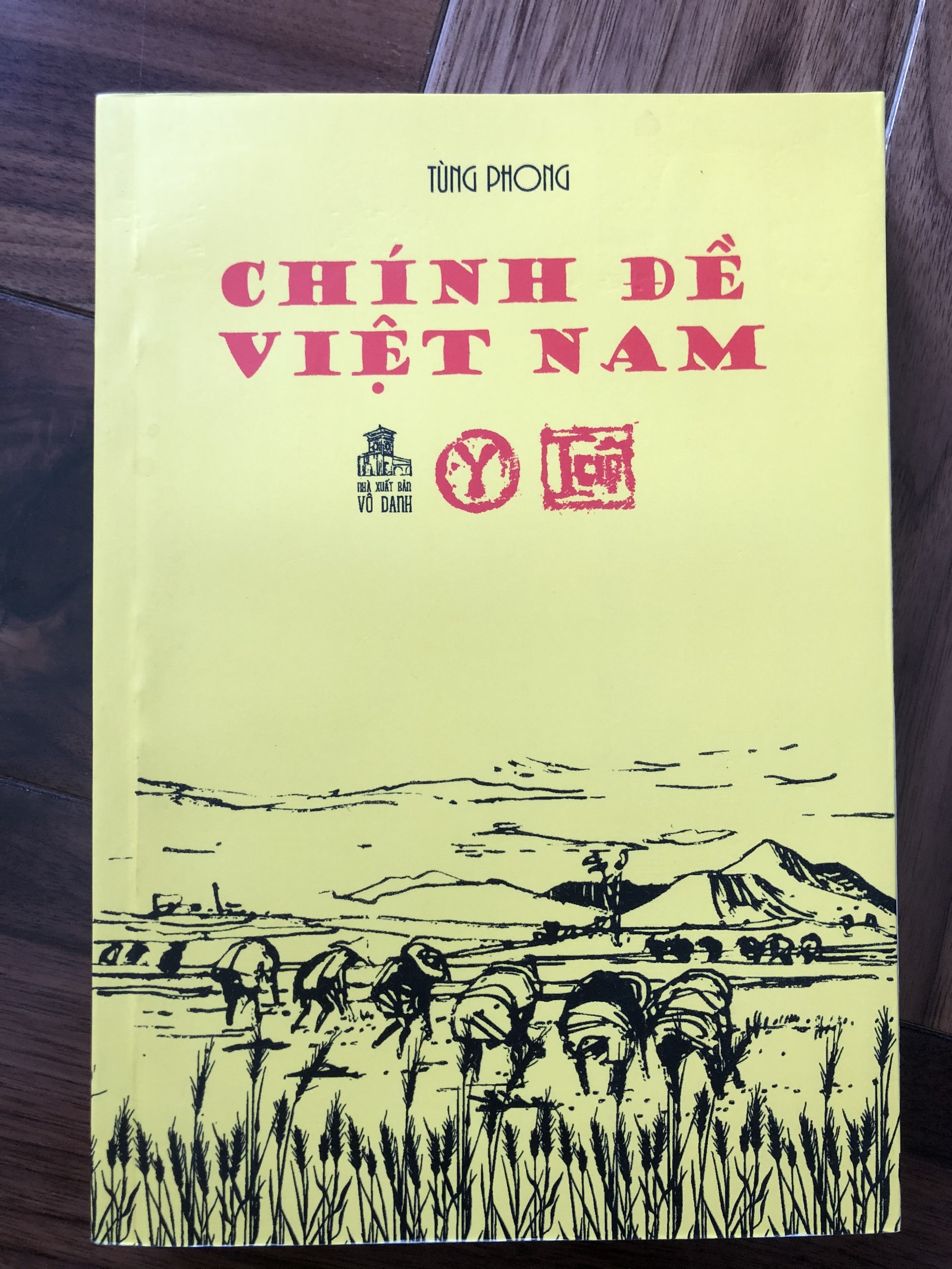 Chính đề Việt Nam