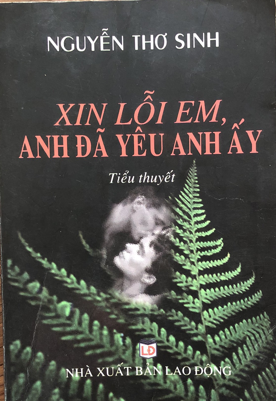 Xin lỗi em, anh đã yêu anh ấy: Tiểu thuyết