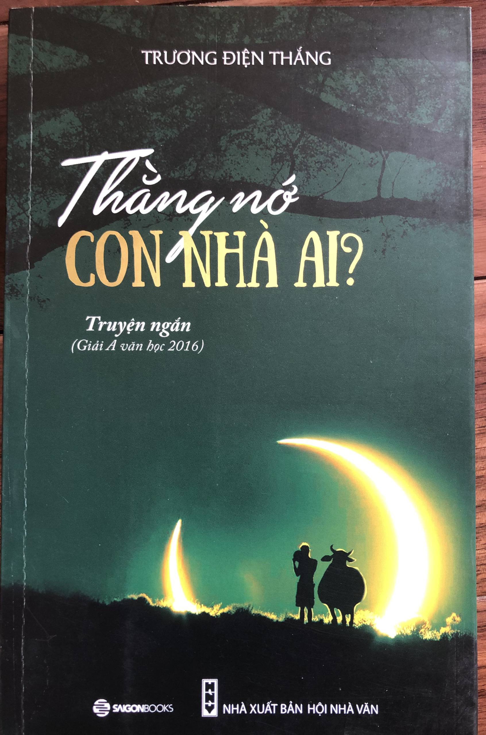 Thằng nớ con nhà ai?: Truyện ngắn